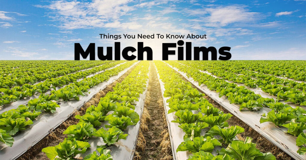 Things You Need To Know About Mulch Films